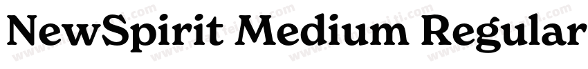NewSpirit Medium Regular字体转换